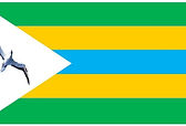 REPUBLIC O DELVIN FLAG